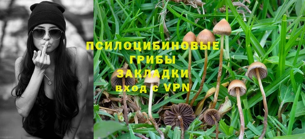 прущие грибы Алексин