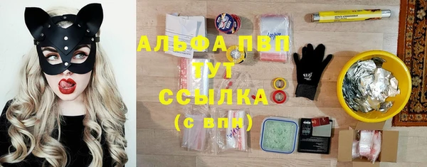 скорость Алзамай